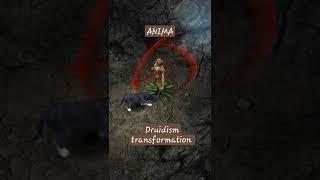 Anima Druidism Transformation