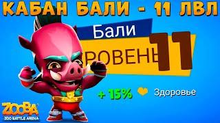 КАЧАЕМ 11 УРОВЕНЬ!!! БОРЕЦ КАБАН БАЛИ В ИГРЕ ZOOBA