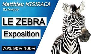 A QUOI ÇA SERT ? LE ZEBRA 70% en vidéo (Exposition)