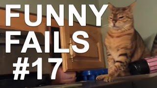 Cats Funny Moments with sound effects - compilation