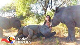 Watch This Baby Rhino Fall In love With Her Rescuer's Cat | The Dodo Heroes