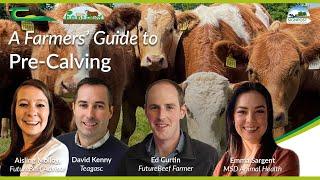 FutureBeef Webinar: Pre Calving