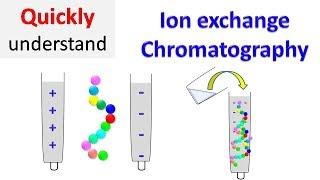 Ion exchange chromatography