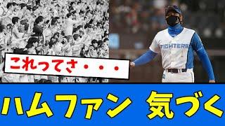 【気づく】ハムファン「今回の戦力外さ・・・」【プロ野球反応集】【2chスレ】【5chスレ】