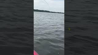 Catching Big SPAWNING BLUEGILL! #beats #music #remix #fishing #catchandcook #bluegill #shorts #viral