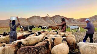 Discovering the Secrets of Iran’s Nomads: A Thrilling Look at Nomadic Traditions