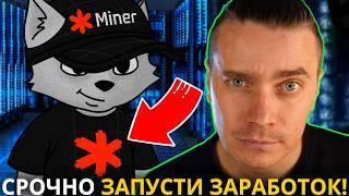 ️ MINER SQUAD ОТ CATS! 🟢 СРОЧНО ЗАПУСТИ МАЙНИНГ СКВАД НА ТЕЛЕФОНЕ И ЗАРАБАТЫВАЙ! ТОЧНО НЕ УПУСТИ!!!