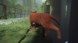 Stray: Glitching out of bounds