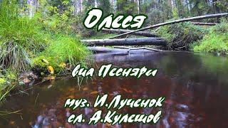 Песняры -Олеся(Алеся)-караоке(рус+бел. текст)