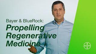 Bayer & BlueRock I Propelling Regenerative Medicine