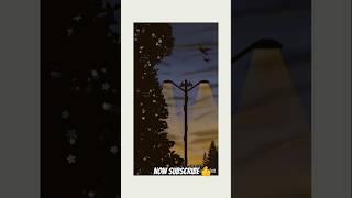 Peaceful Evening Digital Art | Aesthetic Sunset Scenery with Birds&Streetlamp Glow #art #digitalart