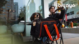 JetPaw 3-in-1 TSA Approved Pet Stroller | Elevate pet travel to a whole new level @traveldogbodhi