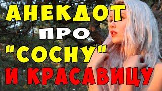 АНЕКДОТ про Илью и НАСТЮ и Сосну | Самые смешные свежие анекдоты