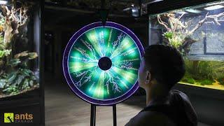 I Created a Wheel to Choose the Fate of My Giant Rainforest Vivariums