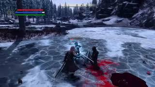 Skyrim Extremely modded Sword Combat