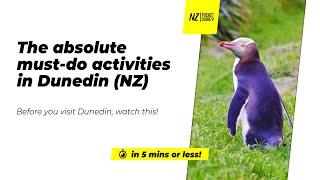 ️ The absolute must-do activities in Dunedin NZ - NZPocketGuide.com