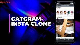 Catgram | Instagram Clone | CatAPI | React & Tailwindcss |  v1.0