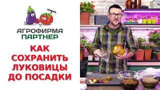 КАК СОХРАНИТЬ ЛУКОВИЦЫ ДО ПОСАДКИ