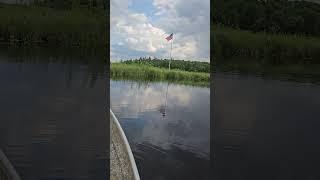 "Freedom Light"  on Paradise Creek