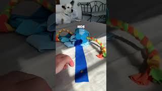 The Ultimate Energy Burner for Dogs!  #enrichmentfordogs #dogtoy #enrichment