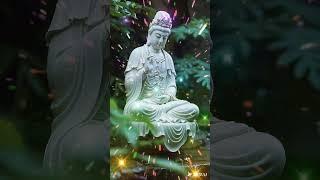 #阿弥陀佛#观音菩萨大慈大悲#佛度有缘人#佛菩萨#极乐世界#Amitabha Buddha#Guanyin Bodhisattva#Buddhas and Bodhisattvas