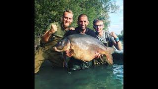 MONSTER CARP landed on TV - nearly 80lb for ALI HAMIDI