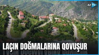 Laçını ən şirin övladım kimi bağrıma basmağa gedirəm – LAÇIN DOĞMALARINA QOVUŞUR