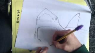 How to draw a Great white shark part 1