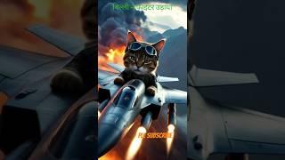 "Fighter Jet Cats Bomb the Mountain #WarScene #cat #animal #fighter