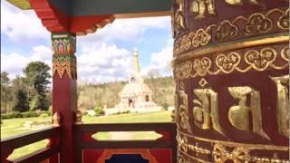 Desert Shore Experience - Dharma