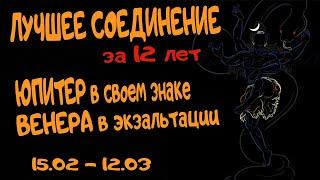 Лучшее соединение за 12 лет. Юпитер и Венера в Экзальтации. Ведическая астрология