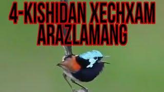 4-KISHIDAN XECHQACHON ARAZLAMANG