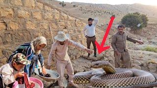 Courage between families: Nassib and Javad team up to distract a dangerous snake.