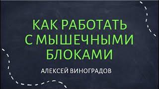 Как работать с мышечными блоками? | Алексей Виноградов