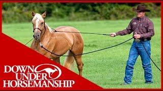 Clinton Anderson: Training a Rescue Horse, Part 1 - Downunder Horsemanship