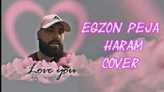 Egzon Peja - Haram (Official Audio) Cover