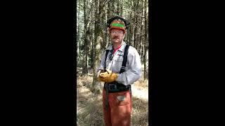 Two different options for private property Tree farm