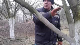 Урок КАРБОВКА.ПРОСМОТРИТЕ  ПОЖАЛУЙСТА.ЗАДАЙТЕ ВОПРОС.