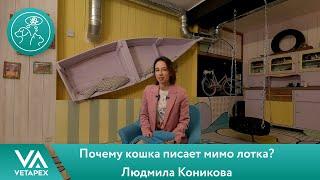 Людмила Коникова - Почему кошка писает мимо лотка?