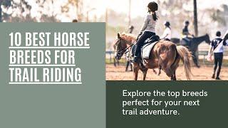 10 Best Horse Breeds for Trail Riding