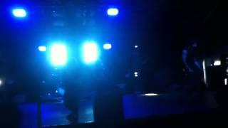 The Collective - Ipswich Show