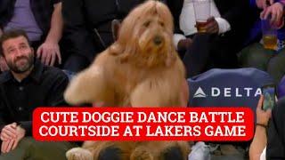 Brodie the dog from TikTok does an adorable courtside dance at Lakers game