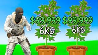 I Grew HIGH-YIELD SEEDS To get LOTS of CASH on Gmod DarkRP EP 5