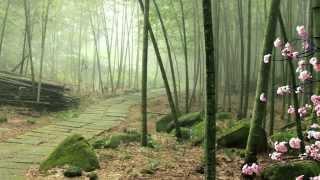 Tom Bajoras - "Alishan 阿里山" - piano version