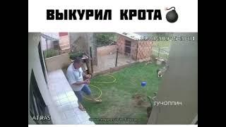 Как не надо выкуривать крота.