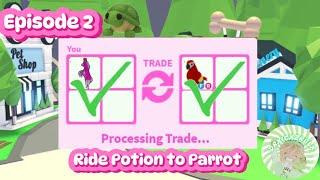 Ride Potion to Parrot (Episode 2: Turtle Mission)