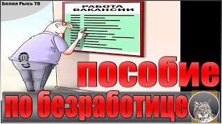 Пособие по безработице в 2021 году