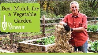 Best Mulch for a Vegetable Garden