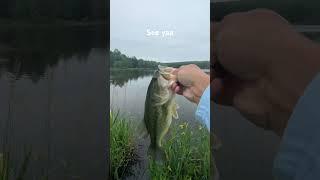 #fishing #NEPA #pennsylvaniabass #bassfishing #largemouth