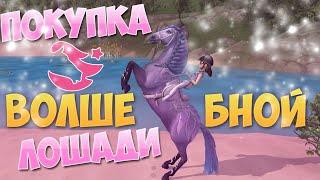 Star Stable на русском/ ПОКУПКА ВОЛШЕБСТВА